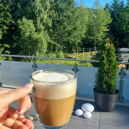 Neu!luxbau I Tiefgarage I Xxl-terrasse Am Bachrauschen Schluchsee